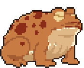 Bellows Toad