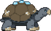 Geyser Tortoise