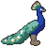 Shardtail Peacock