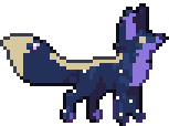 Constellation Fox