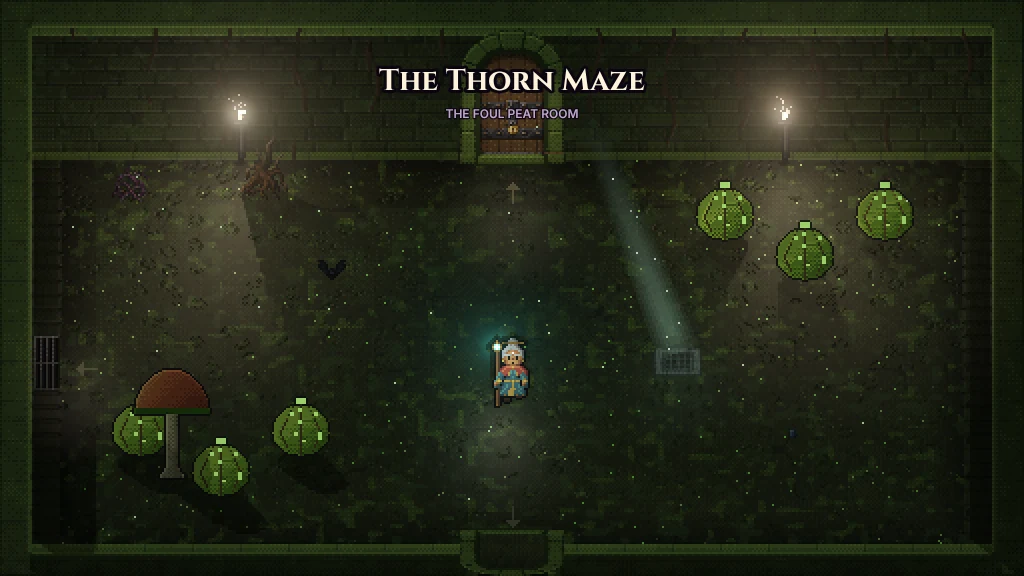 The Thorn Maze