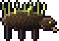 Briarback