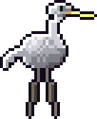 Brine Heron