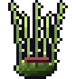 Kelpmaw