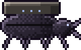 Lintel Beetle