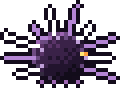 Swirl Urchin