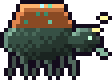 Verdigris Beetle