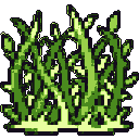 Thorn Hedge